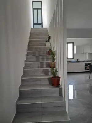 a staircase in a house with potted plants on it at Casa grande aluminum Ida in Sal Rei
