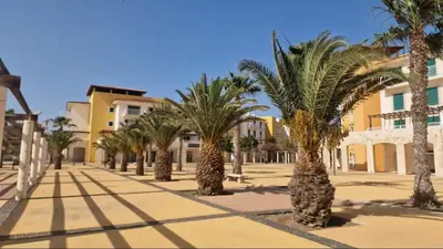 a row of palm trees in front of a building at Sunny & Cosy Flat in Vila Verde near Bikini Beach! in Prainha