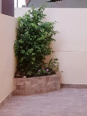 a plant in a brick planter against a wall at Surf House Cabo Verde in Santa Maria