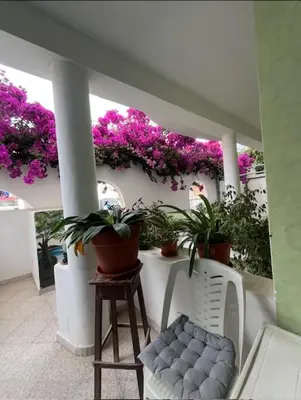 a porch with potted plants and a chair and flowers at Vivenda Viviani in Praia