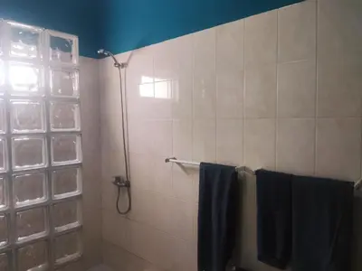 a bathroom with a shower with blue walls and towels at Ca' Francisca in Santa Maria