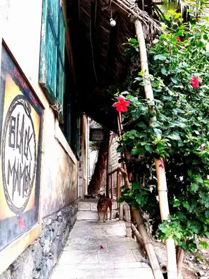 a dog is walking down a sidewalk next to a building at Black Mamba in Paul