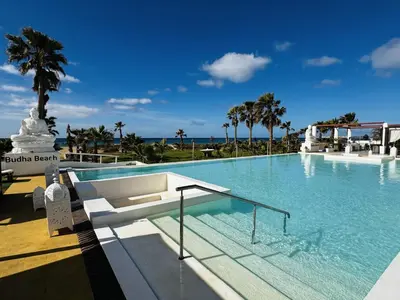 a large swimming pool with palm trees and the ocean at Hotel LIVVO Budha Beach in Santa Maria