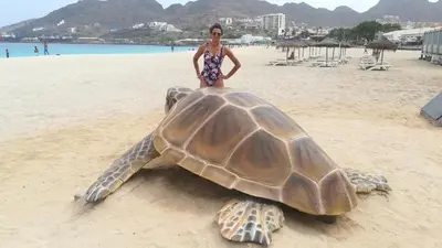 a woman standing on top of a sea turtle on a beach at Basic Hotel in Mindelo