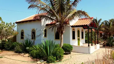 a white house with a palm tree in front of it at Torre Sabina in Vila do Maio