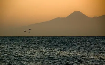 three birds flying over the ocean at sunset at Private Holiday Apartment in Tarrafal