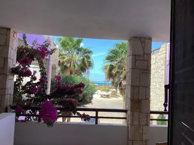 a view of the beach from a building with flowers at Two bedrooms, WIFI, near beach - Ca Greta in Sal Rei