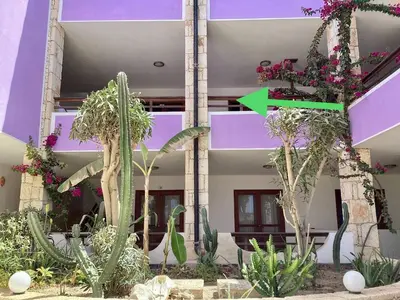a building with plants in front of it with a green arrow at Two bedrooms, WIFI, near beach - Ca Greta in Sal Rei