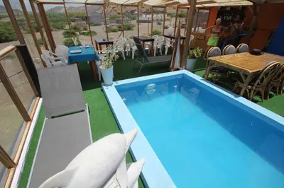 a swimming pool with a shark in a restaurant at Pousada B&B Le Gourmet in São Pedro
