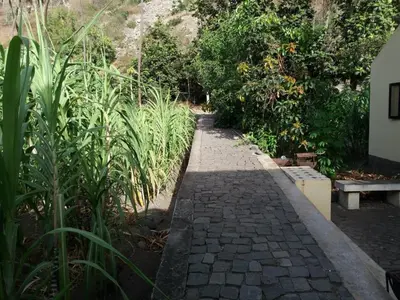 a brick path in a garden with a bench at Ribeira Grande Country House in Escabeçada