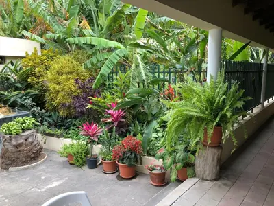 a bunch of plants in pots in a garden at Ribeira Grande Country House in Escabeçada
