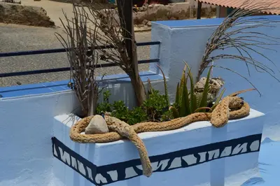 a blue box with a rope and plants in it at Yacht Club Sal in Palmeira