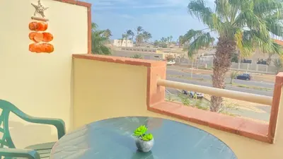 a glass table and a window with a palm tree at Sal Apartments Djadsal Moradias in Santa Maria