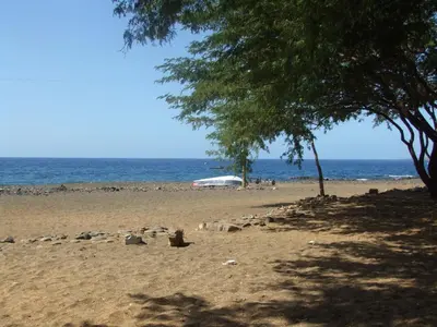 a beach with a car and a tree and the ocean at Casa Patio in Tarrafal