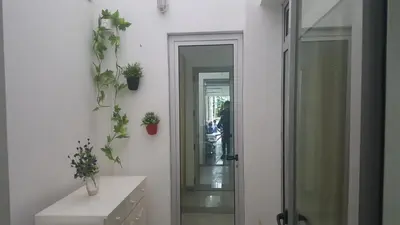 a bathroom with a glass shower and plants on the wall at Apto T1 Comfort in Praia