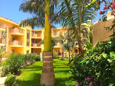 a palm tree in a yard in front of a building at Apartment | in Tropical Resort | pool | close to beach in Santa Maria