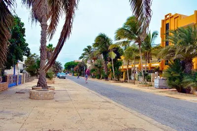 a street with palm trees and a person walking down the street at Aparthotel Santa Maria Beach in Santa Maria
