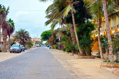 a street with palm trees on the side of a road at Aparthotel Santa Maria Beach in Santa Maria