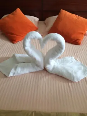 two swans making a heart on a bed at Vannilla Residencial in Mindelo