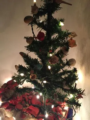 a christmas tree with lights on a table at Santa Maria flats in Santa Maria