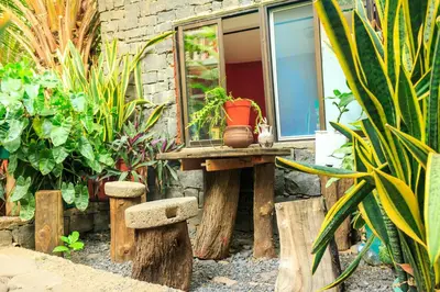 a wooden table with a potted plant on it at Pousada Quinta Ribeirinha in Cidade Velha