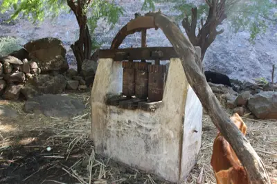 a stone stove in a field with a tree at Pousada Quinta Ribeirinha in Cidade Velha