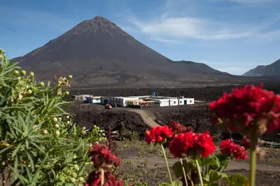 a mountain in the background with red flowers in the foreground at Casa Marisa 2.0 in Portela