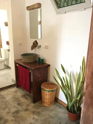a bathroom with a sink and a plant at Casa Pau in Santa Maria