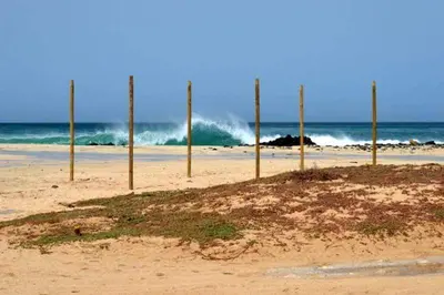 a group of poles in the sand on a beach at Salzen Portas de Sol in Santa Maria