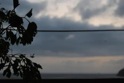 a branch of a tree with the sky in the background at ponta gato residence in Tarrafal