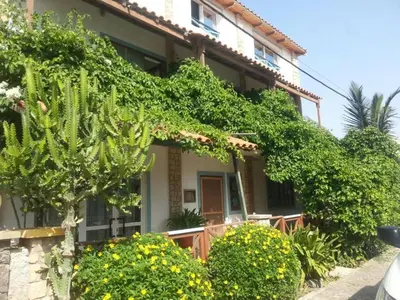 a house with ivy growing on the side of it at Pensão Alcinda Bettencourt 50 meters to the Beachfront in Santa Maria