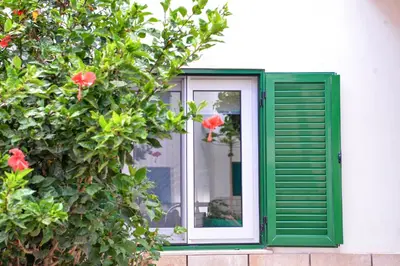 a window with a green shutter next to a bush at Guesthouse Le Châtelain in Santa Maria