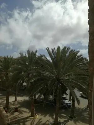 a group of palm trees in a parking lot at Casa Verde in Mindelo