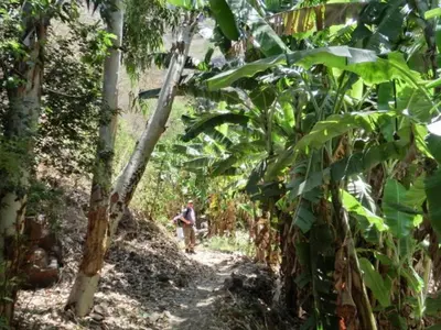 a man walking down a dirt path in a forest at Aparthotel Praiano in Praia