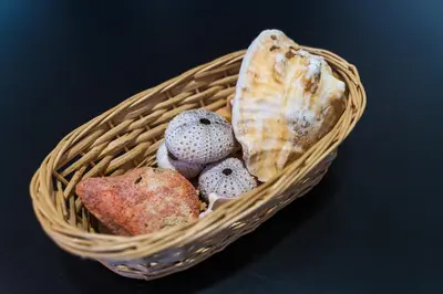 a basket filled with different types of mushrooms at Casa Io - Bica in Mindelo