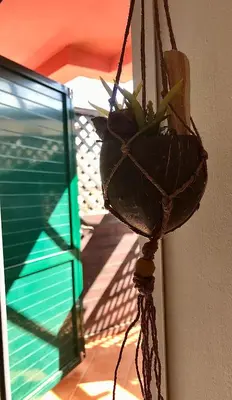 a potted plant hanging on a wall next to a window at Blue Ocean in Santa Maria