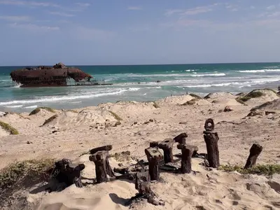 a beach with a bunch of logs in the sand at B&B Sereia Azul Boa Vista in Sal Rei