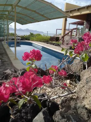 a garden with pink flowers in front of a swimming pool at Chambre indépendante in Porto Novo