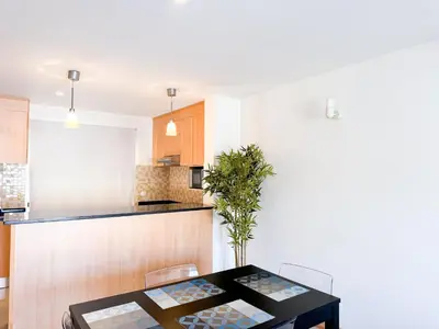 a kitchen with a black table with a potted plant at BIA D'Olaf Apartments in Santa Maria