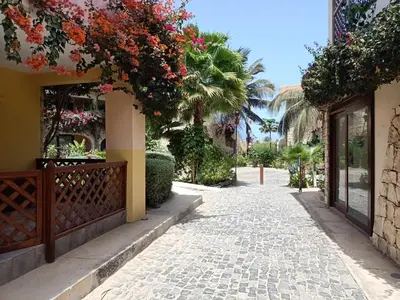 a street with flowers on the side of a building at Sal&Love apt in Porto Antigo in Santa Maria