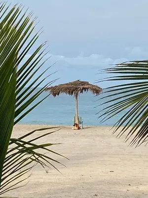 a straw umbrella on a beach with the ocean at Villa Alfredo Marchetti Nº13 A Suites on the Beach, Praia de Chaves, Boa Vista in Cabeçadas