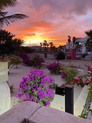 a sunset on the beach with purple flowers and palm trees at Villa Alfredo Marchetti Nº13 A Suites on the Beach, Praia de Chaves, Boa Vista in Cabeçadas