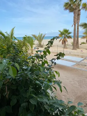 a view of a beach with palm trees and the ocean at Villa Alfredo Marchetti Nº13 A Suites on the Beach, Praia de Chaves, Boa Vista in Cabeçadas