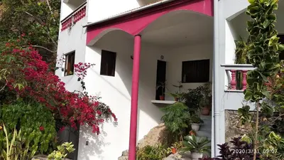 a white and pink building with flowers and plants at Damontanha 2 in Ribeira Grande
