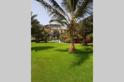a palm tree in the middle of a lawn at Schönes, ruhiges und geräumiges Apartment mit Poolanlage in der Nähe von Santa Maria in Prainha