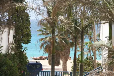 a view of a beach with palm trees and the ocean at Leme Bedje fronte spiaggia in Santa Maria
