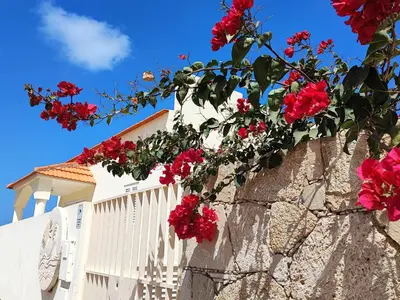 a white fence with red flowers on it at Casa Djarmai Apartments in Vila do Maio