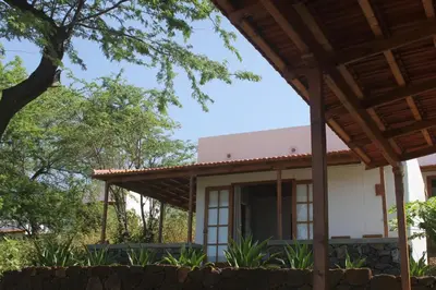 a rendering of a house with a tree at La Fora Ecolodge in São Filipe