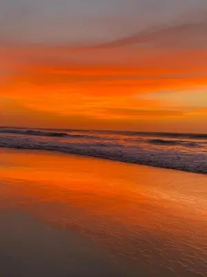 a sunset over a beach with the ocean at Villa Nº 25 Alfredo Marchetti Suites on the Beach,Praia de Chaves BV in Cabeçadas
