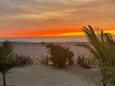 a sunset on the beach with plants in the sand at Villa Nº25b Alfredo Marchetti suites on the beach Praia di Chaves in Cabeçadas